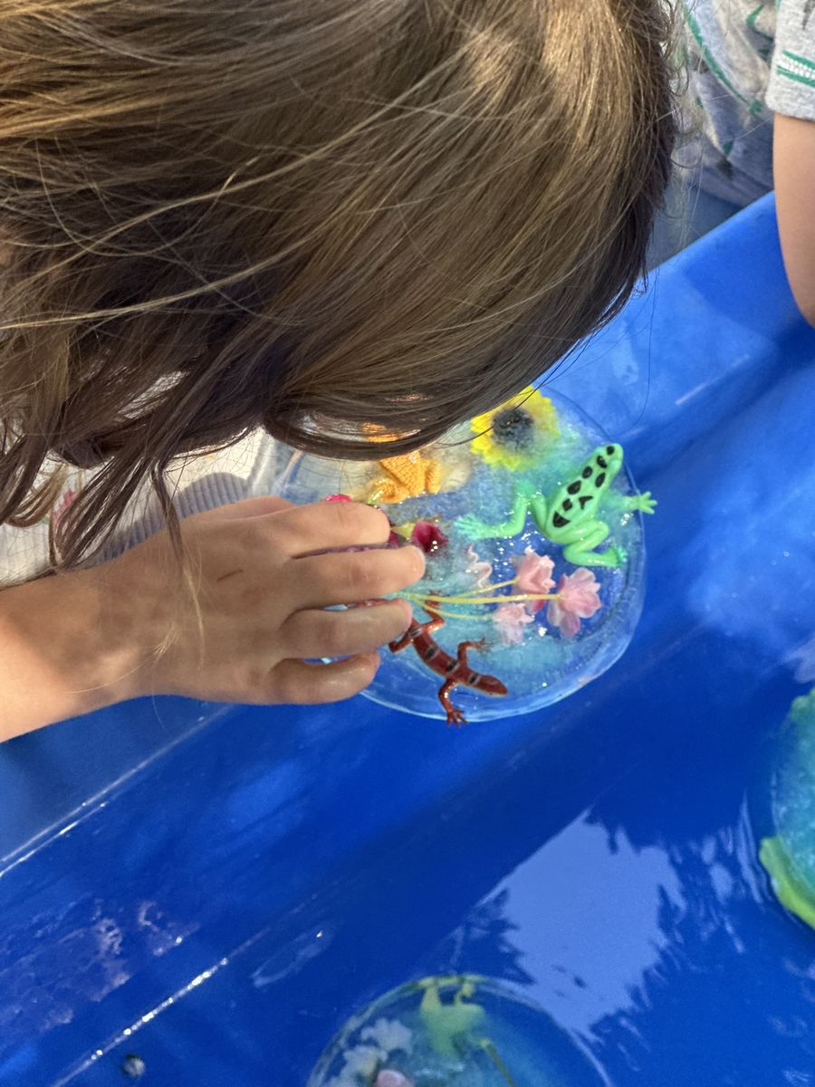 Child examining a frog figurine in an ice sensory disc at Butterflies Academy
