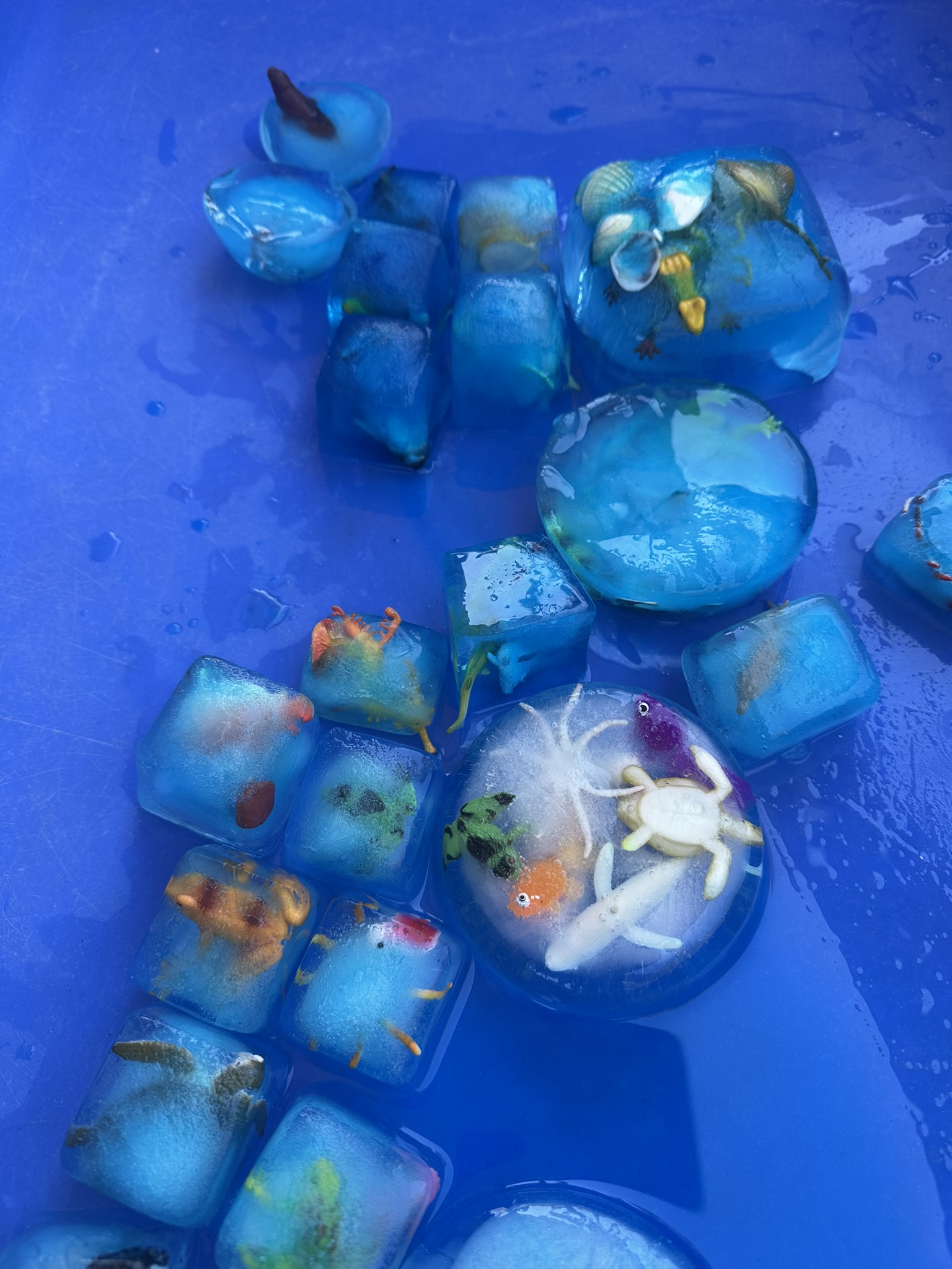 Sea creature discovery play at Butterflies Academy